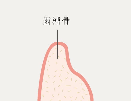 歯槽骨